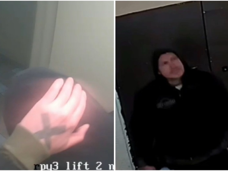 Полиция задержала мужчину, стрелявшего в пса из арбалета в Ростове