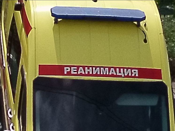 Во Всеволожске 13-летняя девочка выжила после падения с шестого этажа