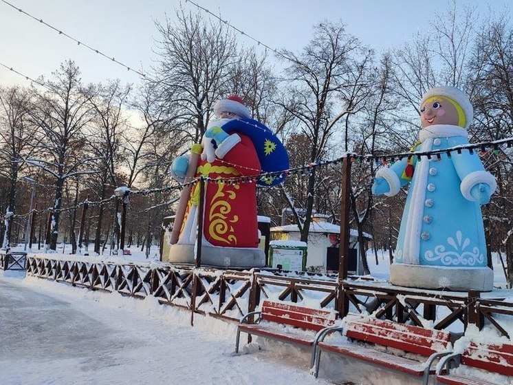 Этой зимой в областной столице планируется залить 116 ледовых площадок