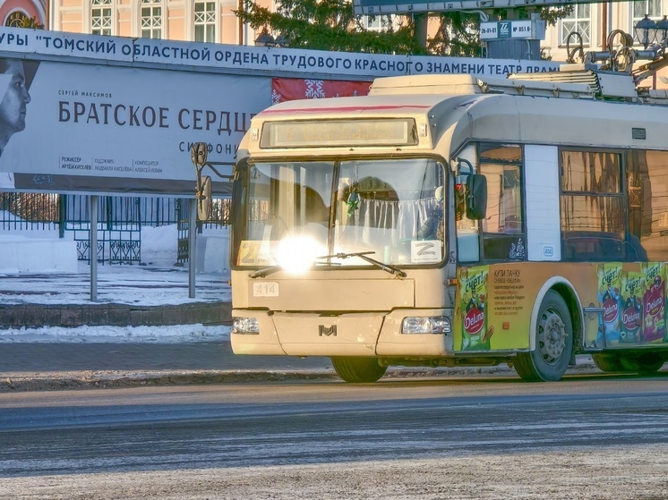 Небольшой снег и -3 градуса: синоптики рассказали о погоде в Томске 21 декабря