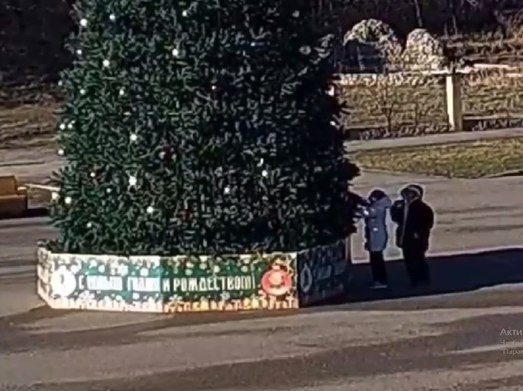 В Железноводке взрослые с детьми воруют новогодние шары с городской елки