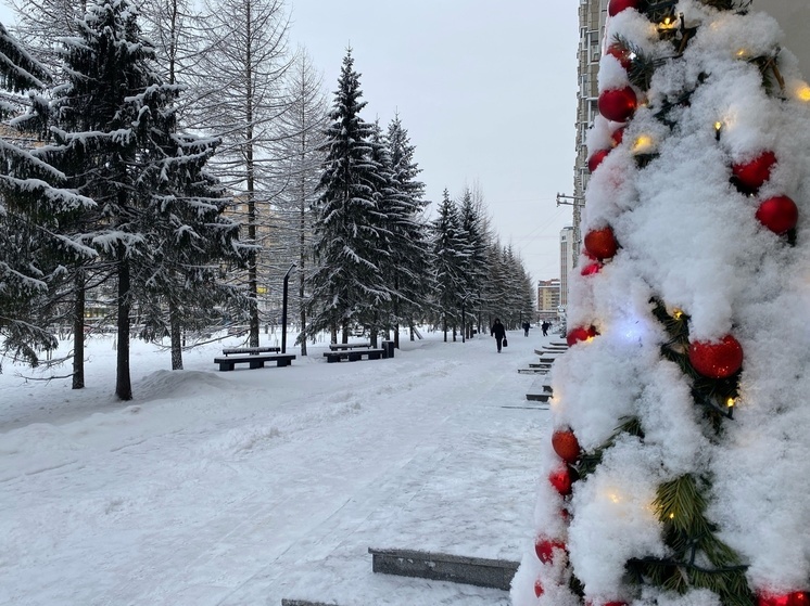 Жителей Поморья ждут метели и гололед