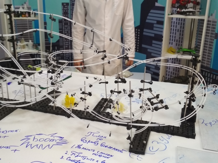 Вологодские ученые получили поддержку на исследование искусственного интеллекта