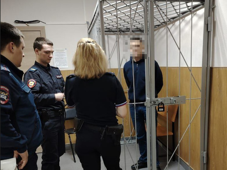 Любителя краж с проникновением в жилище задержали в Гатчинском районе