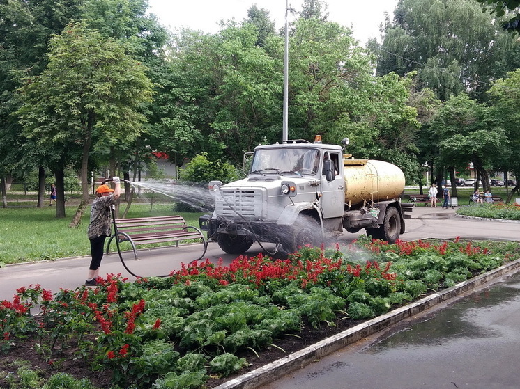 Будущим летом на клумбах Йошкар-Олы появятся новые виды цветов