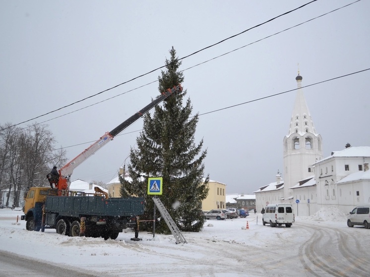 Депутат объяснил решение администрации Гороховца поставить спиленную в городе ель