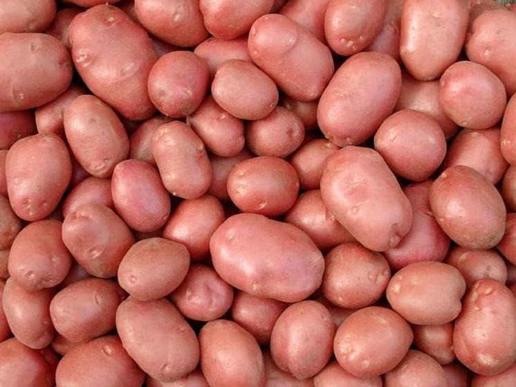 Продукты питания в Нижегородской области подорожали на 9.9%