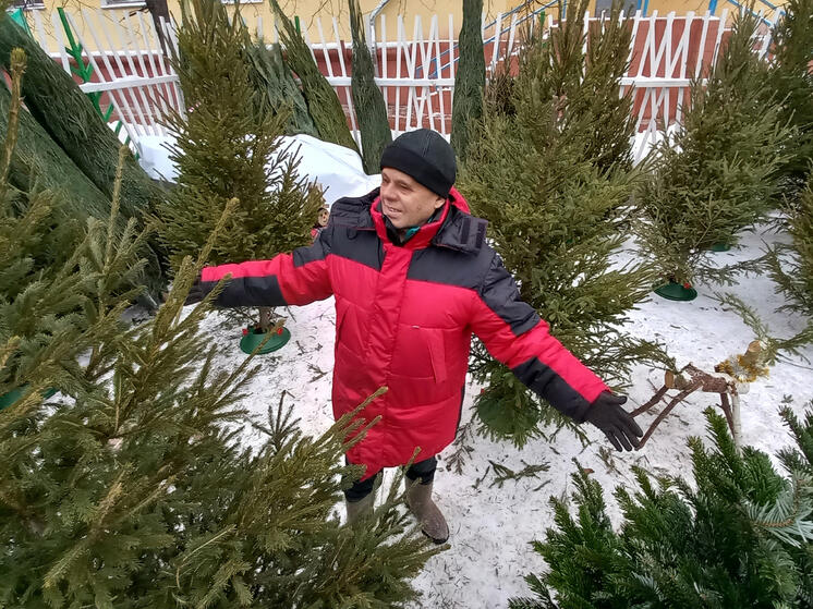 Можно сделать целую изгородь из рождественских воспоминаний