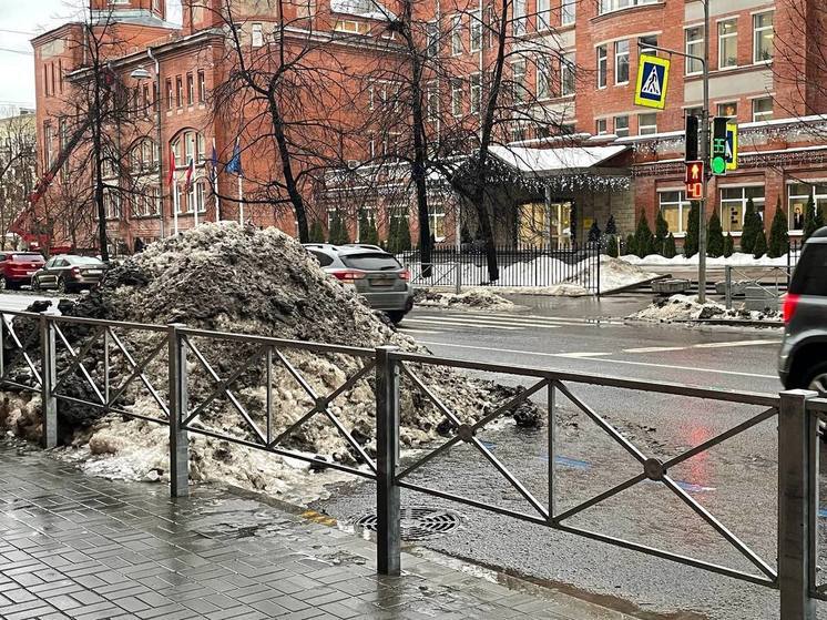 В Петербурге зимой началось «глобальное» потепление