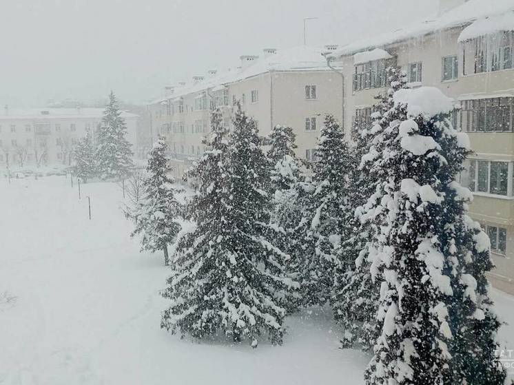 В воскресенье в Татарстане прогнозируют ухудшение видимости и гололед