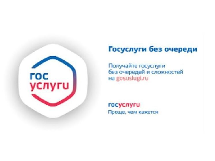 Смоленская полиция напоминает о преимуществах получения государственных услуг через Интернет