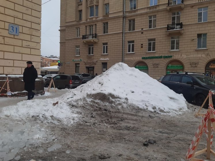 Должник по алиментам будет встречать Новый год за уборкой улиц Боровичей от снега