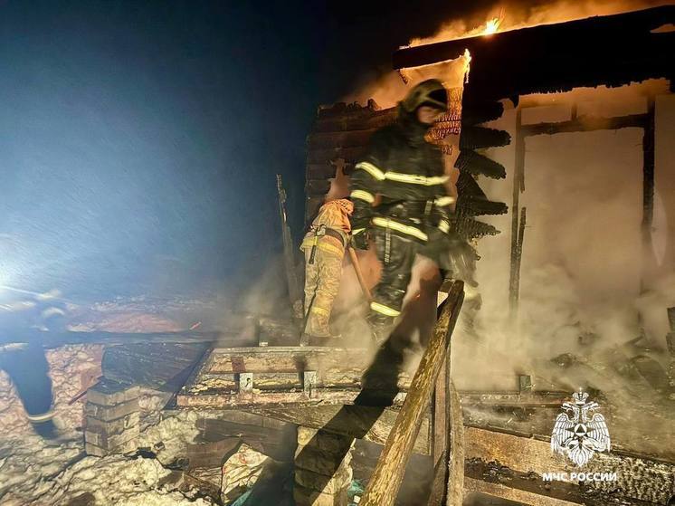 В деревне Трубино под Тверью сгорел дом