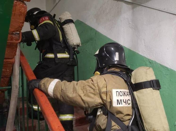 Пожарные эвакуировали из горящего дома четырех жителей Боровичского района