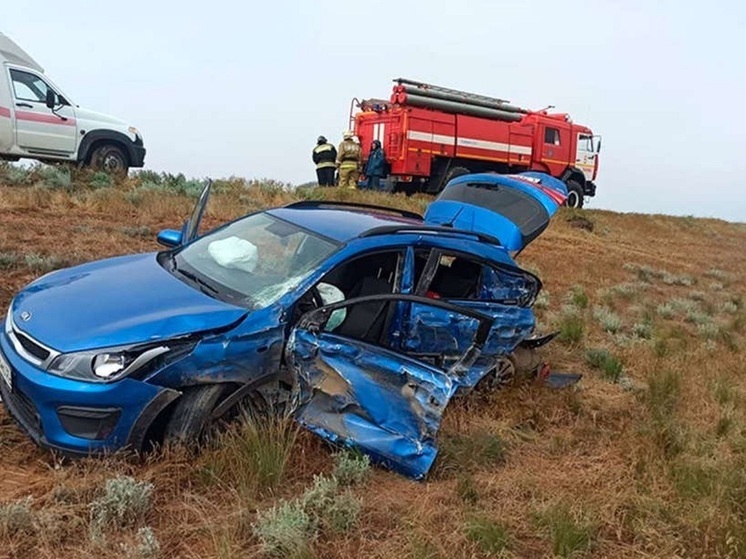 С начала года в Калмыкии в дорожных авариях пострадали почти 900 человек