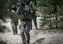 Министерство обороны России подтвердило сегодня, что силами «группировки российских войск «Центр» в результате успешных наступательных действий освободили населенный пункт Красное в ДНР»