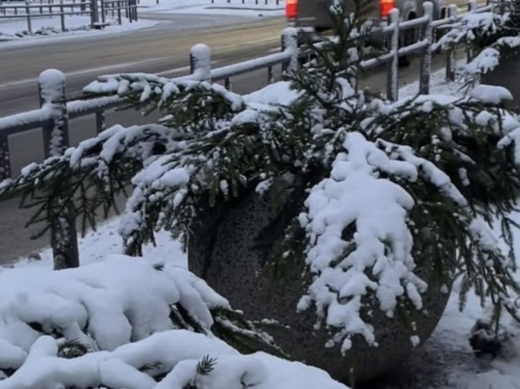 Жители Петрозаводска пожаловались на новогоднее украшение города