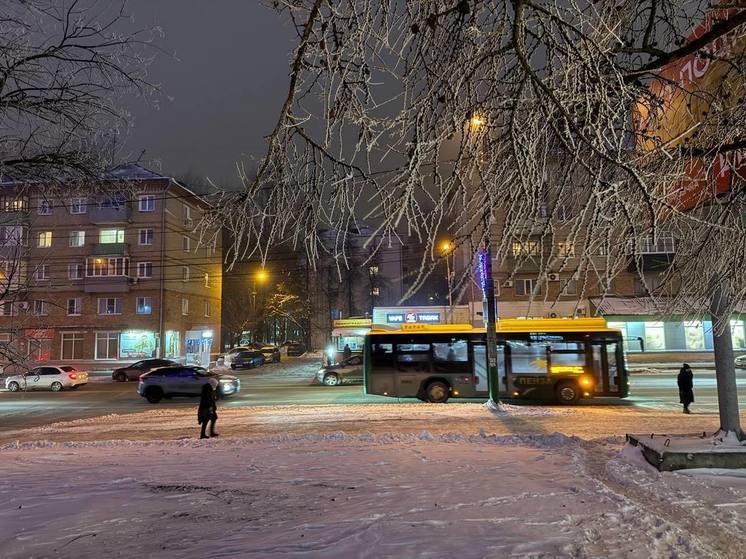 Пензенцам напомнили, как вести себя на дороге при снегопаде