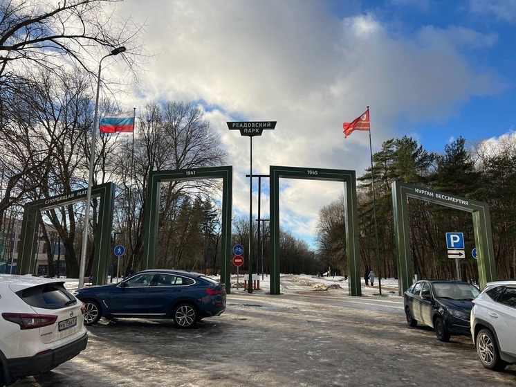 В Смоленске завершились работы по благоустройству входной группы Реадовского парка