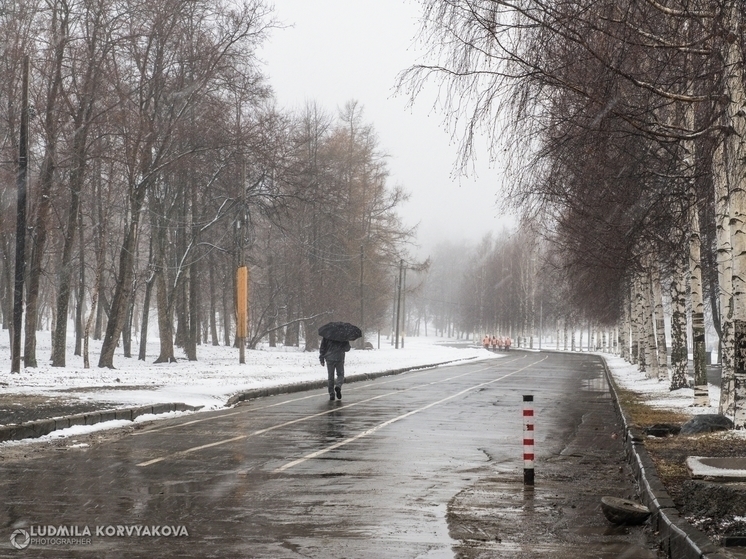 Осадки в виде мокрого снега и дождя ожидаются в Карелии 23 декабря