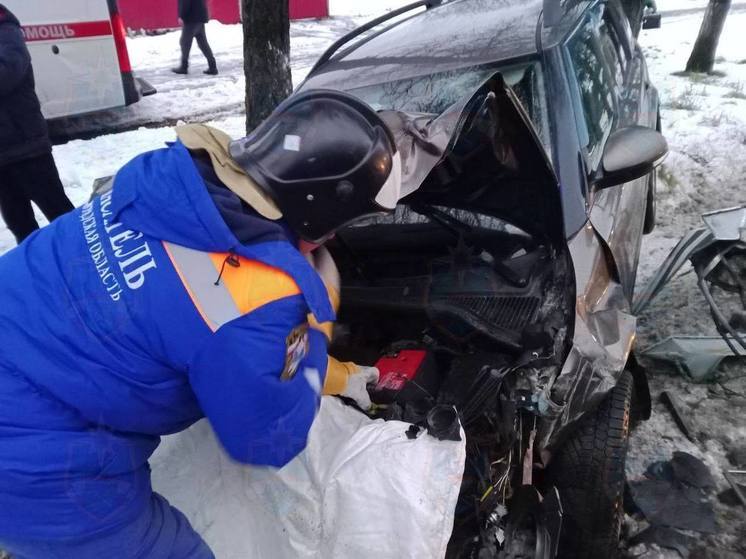 В Новой Ладоге Водитель Skoda не справился с управлением и врезался в столб