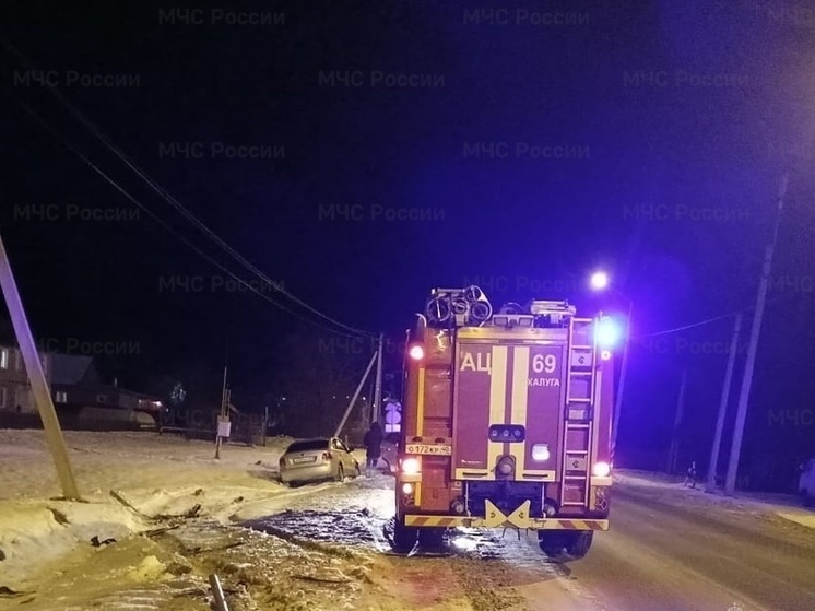 Несколько человек пострадали в ДТП в Больших Козлах