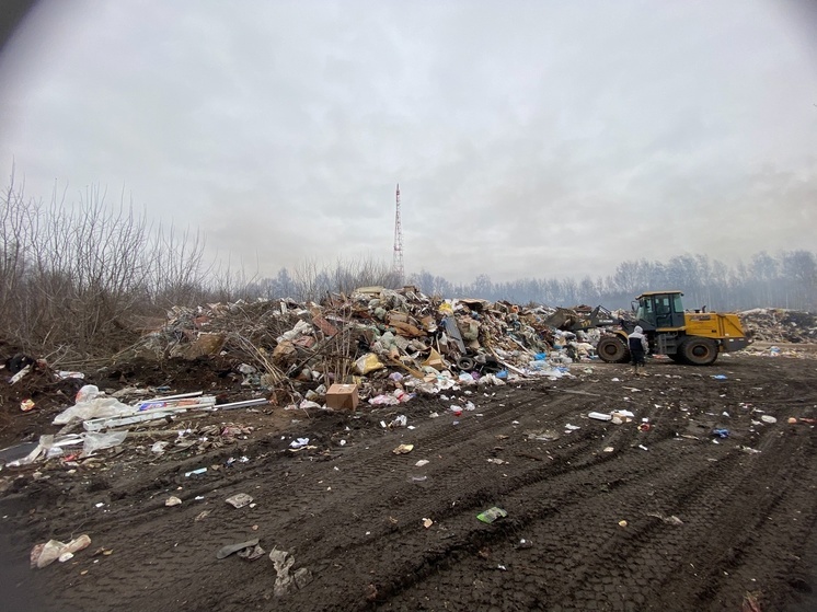 Прокуратура добивается ликвидации свалки на территории города Мурома