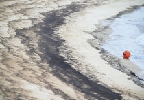 Повторные выбросы нефтепродуктов после крушения танкеров «Волгонефть» обнаружены в трех локациях Анапы. Об этом сообщает РИА «Новости» со ссылкой на оперштаб Кубани. 