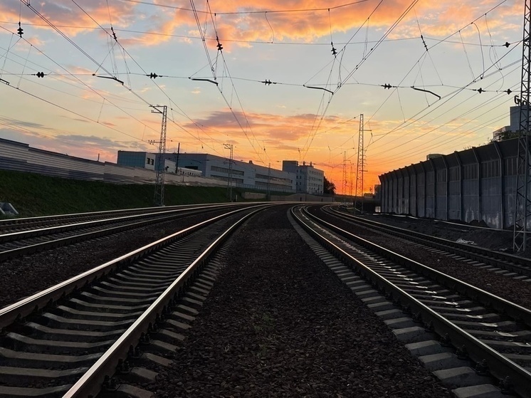 На Новый год новосибирцы планируют поездки в Москву и Санкт-Петербург