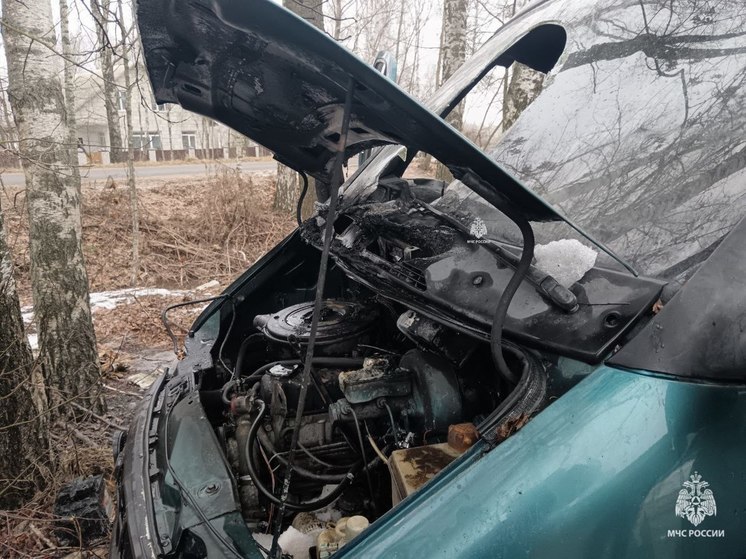 В брянской Злынке потушили загоревшийся автомобиль