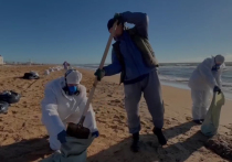 «На каком основании везут к нам?»
