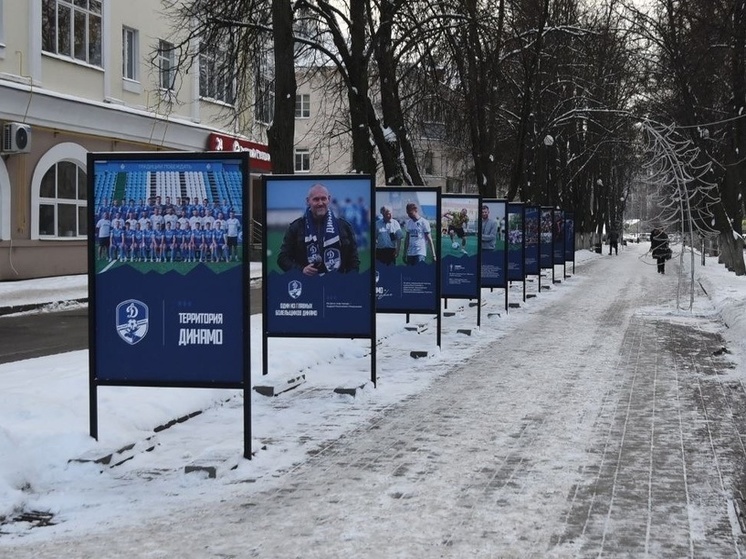 Фотовыставка, посвященная успехам ФК «Динамо», доступна на Пушкинской аллее в Вологде