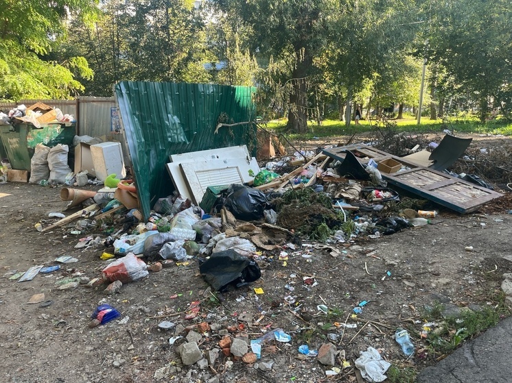 Пушилин призвал наладить работу по вывозу мусора