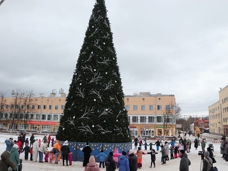 Ленинградская елка может стать самой красивой в России