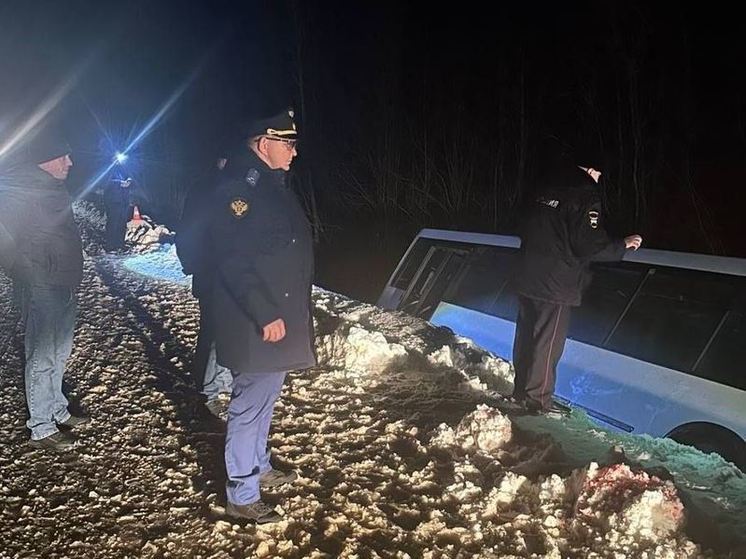 В Подпорожском районе пассажирский автобус упал в кювет