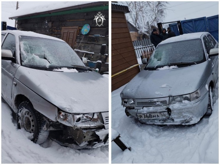 В Омской области возбуждено уголовное дело против сбившего насмерть ребёнка водителя
