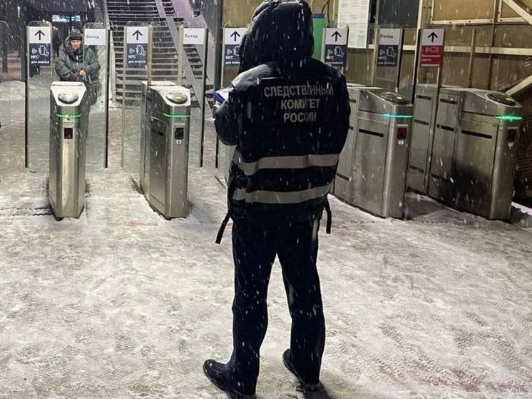 В Раменском отправили в СИЗО хулигана за дебош на станции Удельная