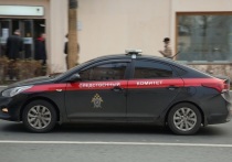Погибшие и пострадавшие при пожаре рабочие на агрофирме в Татарстане оказались гражданами Узбекистана, о чем сообщает РИА Новости со ссылкой на региональное Следственное управление СК РФ.