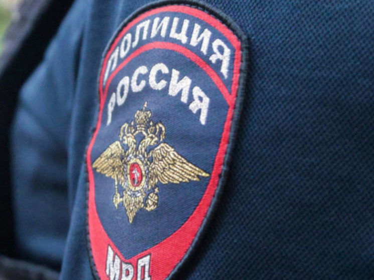 Замерзший россиянин напал с кирпичом на дверь петербургского метро