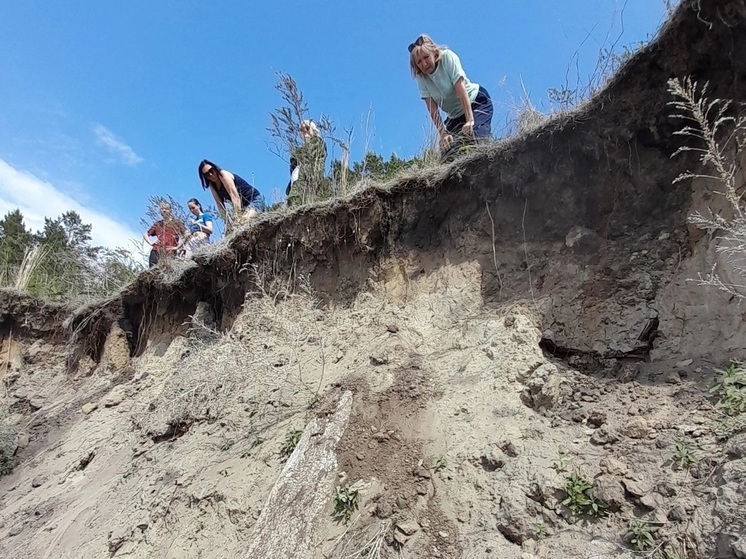 Органы проведут проверку после призыва сибиряков спасти историческое кладбище