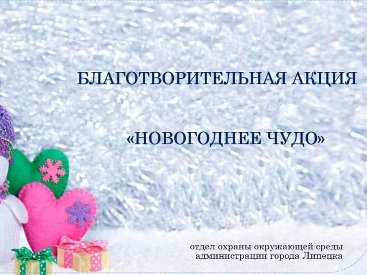 В Липецке проходит ежегодная благотворительная акция «Новогоднее чудо»