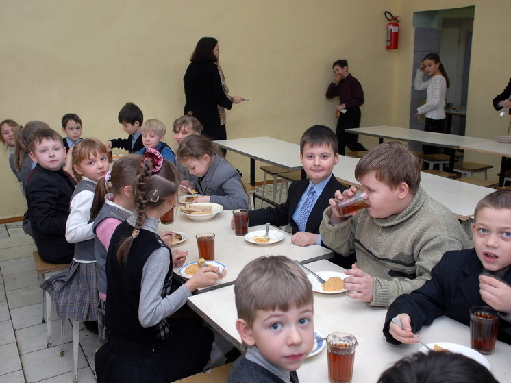 В саратовских школьных столовых найдены сухофрукты с плесенью и молочный фальсификат