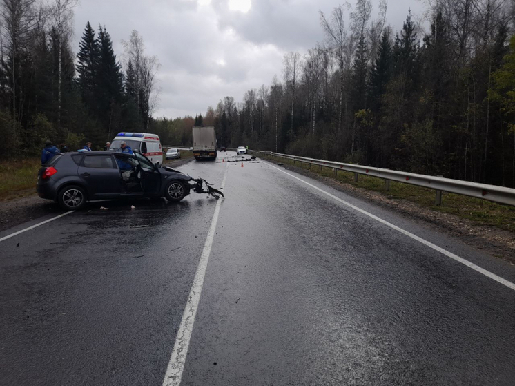 Во Владимирской области за неделю произошла рекордная 481 автоавария