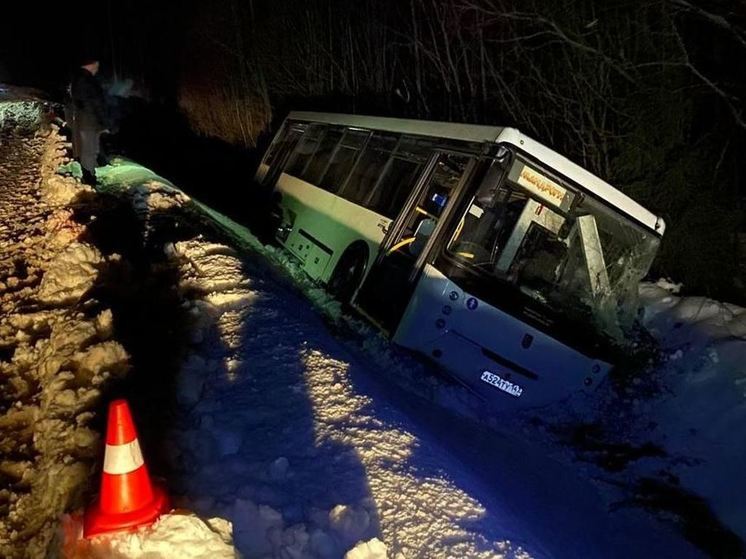 Виноватой в ДТП с автобусом в Подпорожском районе оказалась снежная каша