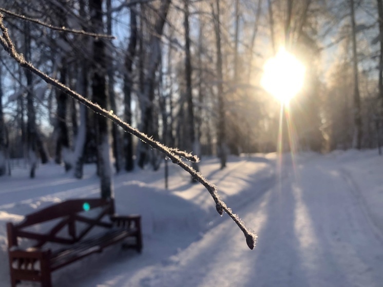 По новогодней ночи можно определить, каким будет весь год на Вологодчине