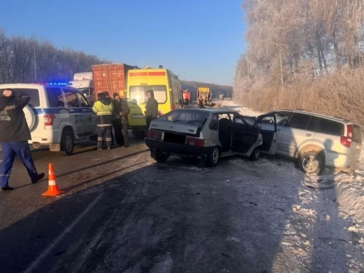 В Новосибирской области произошло смертельное ДТП