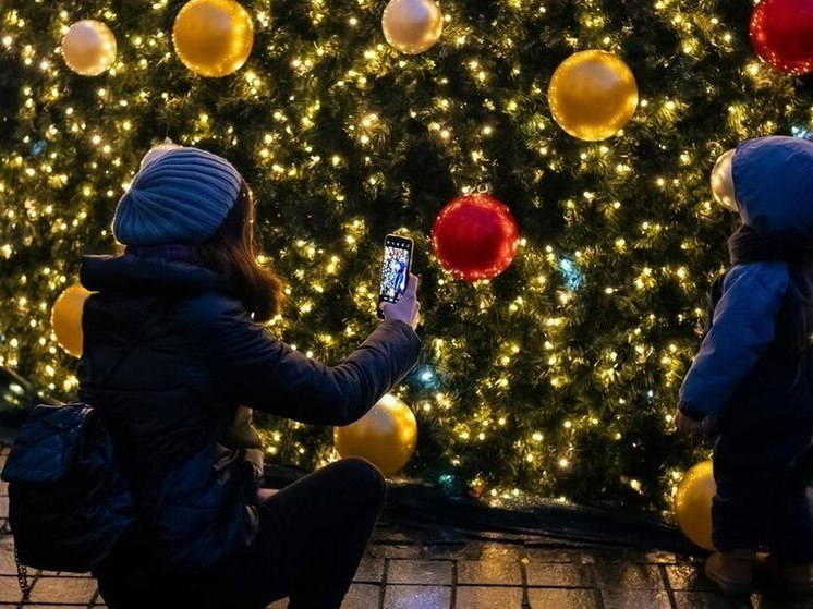  На новогодние праздники в Воронежской области усилят меры безопасности