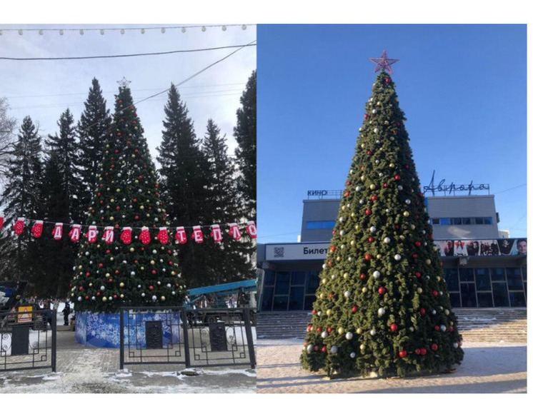 В Новосибирске установлены десять новогодних ёлок