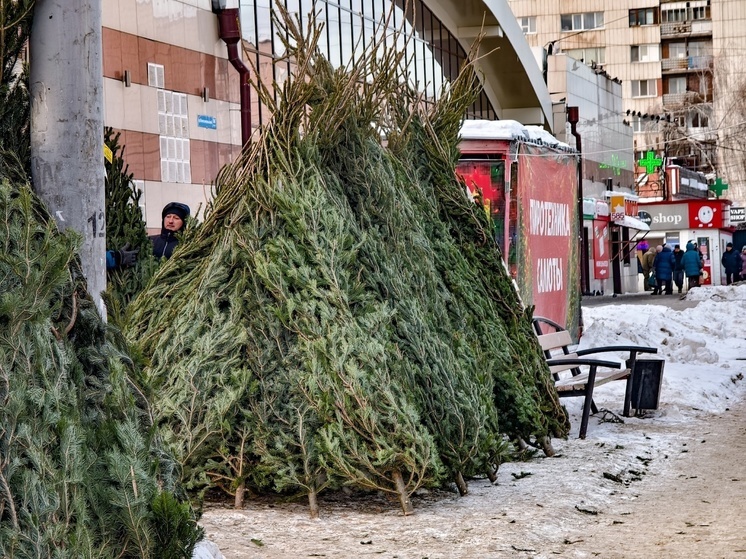 В Томске в декабре не зафиксированы случаи торговли пиротехникой из ларьков и машин