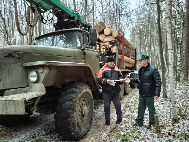 В Пензенской области в рамках операции «Лесовоз» было проведено более 120 рейдов